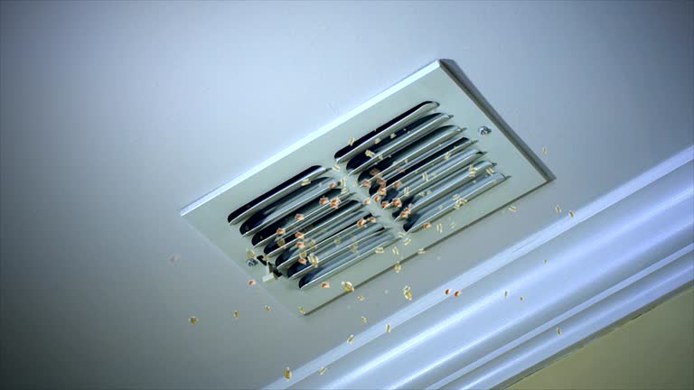 Best Dryer Vent Cleaning Services  in Lincoln City, OR